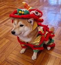 Costume per cane stile danza del leone – taglia piccola/media, Lion Dance Style 