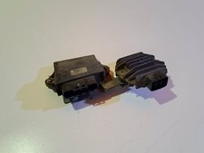 Centralina Elettronica con