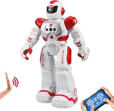 RC Robot per Bambini, Robot