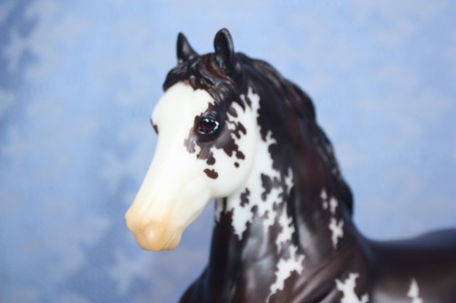 Nuovo breyerfest 2021 - breyerfest, gran