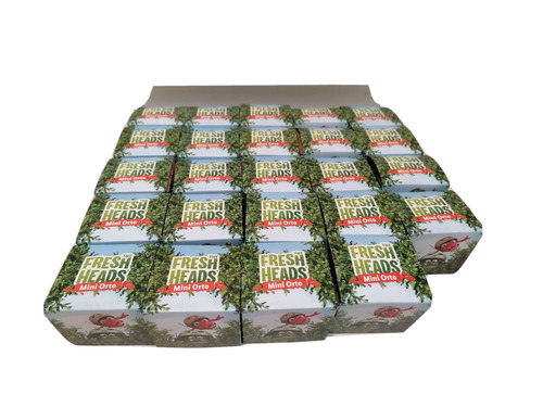 The fresh heads mini orto - mini, lidl