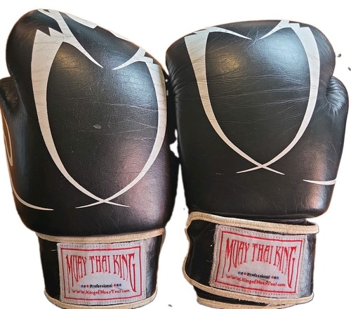 Coppia guantoni boxe - coppia, di