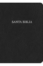 BIBLIA RVR 1960 LETRA SUPER