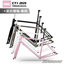 Telaio in lega di alluminio 700C strada ghiaia albero canna freno a disco forcella alluminio