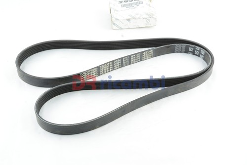 Cinghia trasmissione poly - cinghia, poly-v