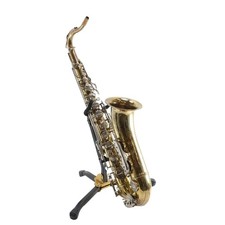 Sax tenore strumento a fiato IDA MARIA Grassi_