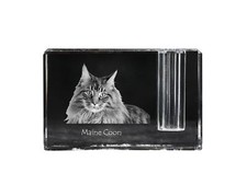 Maine Coon Portacoda