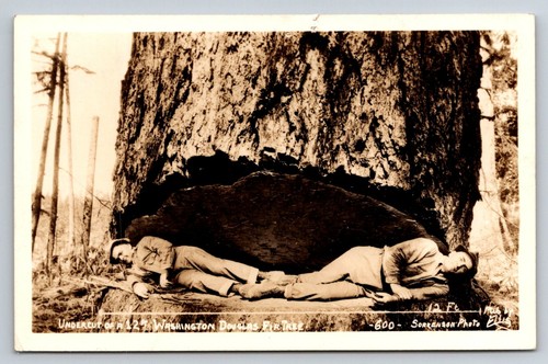 Cartolina fotografica vintage