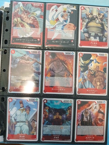 Collezione completa one piece - collezione,
