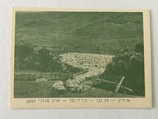 Allevamento di pecore Nuova