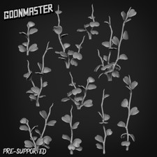 Hoya Kerrii - Kit base/pezzi