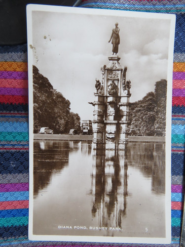 Vintage c1950s bushey park - vintage,