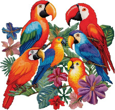 Kit Punto Croce Pappagallo