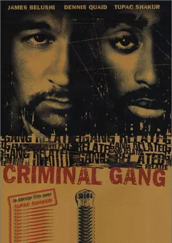 Criminal gang - criminal,