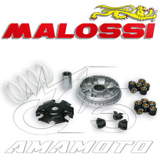 VARIATORE MALOSSI MULTIVAR