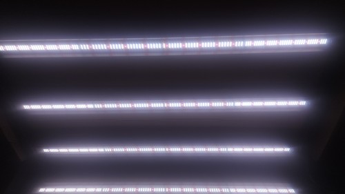 Lumii xledv6 720w led - xledv6,