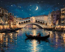 Venezia Italia Scena Notturna