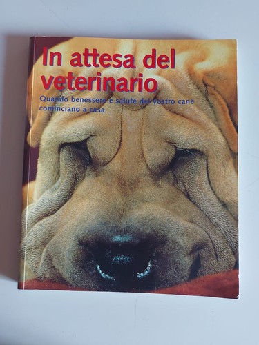 Attesa del veterinario - attesa,