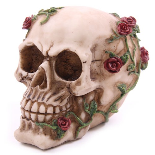 Teschio con rose - teschio,