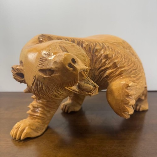 Raro orso arrabbiato