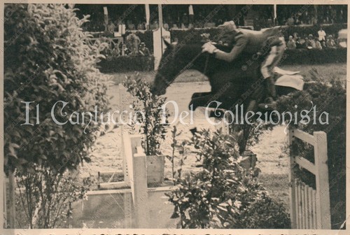 Ventennio equitazione salto - ventennio,