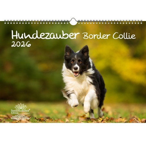 Magia per cani border - cani, collie