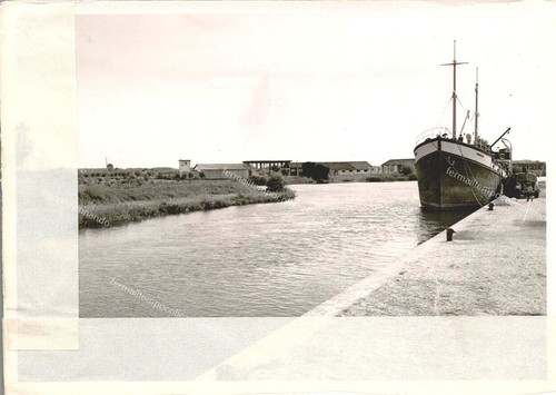 Eg320 cartolina san - cartolina,