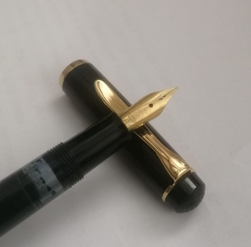 Pelikan penna stilografica