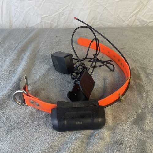 Garmin dc40 collare - dc40,