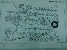 RONDELLA ALBERO AVVIAMENTO