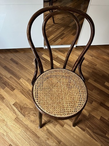 Sedie tipo thonet - sedie,