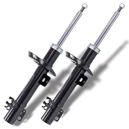 Ammortizzatori gas - 2x,