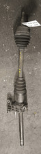 51795511 Semialbero ant