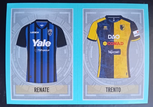 Figurina calciatori panini - figurina,