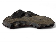 Bonsai di pietra da vista