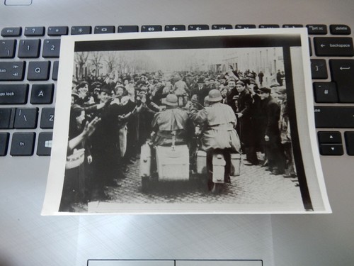 Ww2 era press photo holland - ww2,