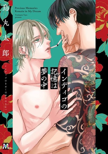 Manga giapponese yaoi - giapponese, bl