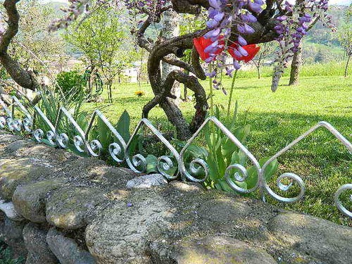 Bordure giardino piante - giardino,