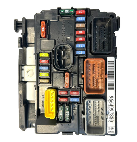 Centralina bsm r09 citroen - r09,