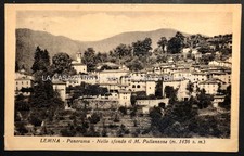 CARTOLINA LEMNA Panorama e M