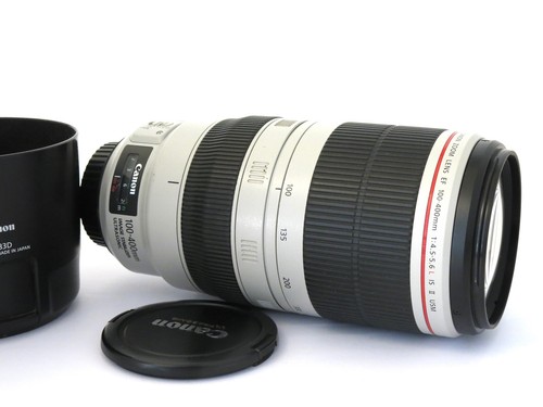 Canon 100 400mm 5 - 100-400mm, 4.5-5.6