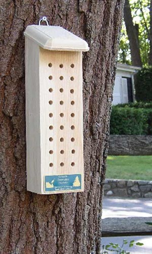 Casa delle api - , solitaria