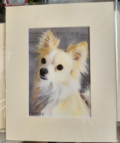 Chihuahua cane pelo lungo