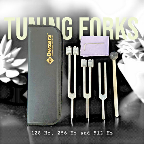 Set forcella sintonizzazione - set,