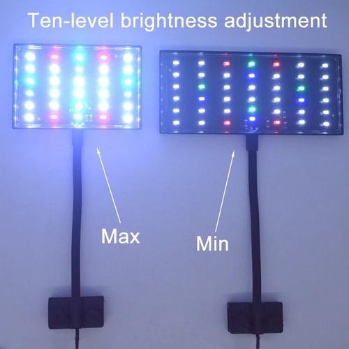Lampada illuminazione piante