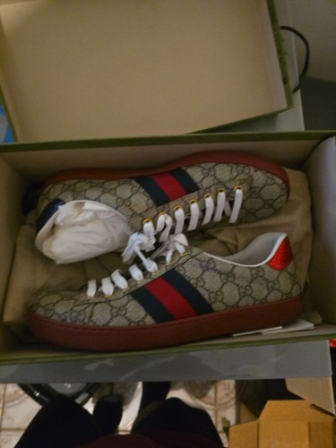 Gucci ace supreme beige - gucci,