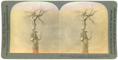 Stereo usa colorado aspen - colorado,,