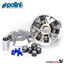 Polini variator for Italjet