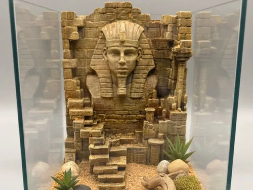 Decorazione da parete - 🏜️,