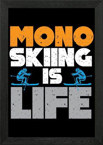 Quadro monoski divertente mono - monoski,